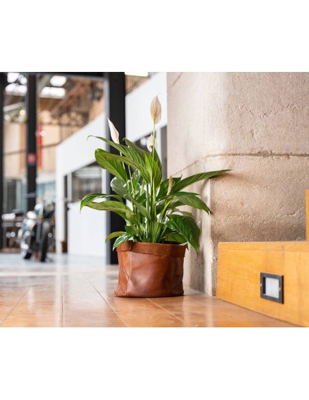 BAAK | Grand cache pot en cuir