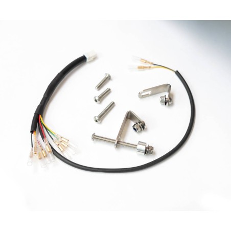 Guardería de barro trasero para Triumph Bobber 1200