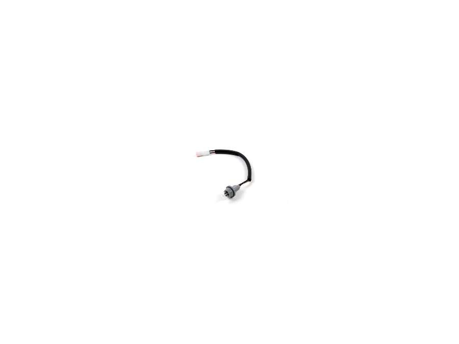 Leuchtturm beleuchten vor Plug -and -Play for Triumph (2016 ...)
