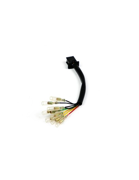 Mazo de cables trasero Royal Enfield 650