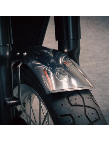 Fango anteriore in acciaio inossidabile per look da recupero a stella oro BSA 650 | Baak