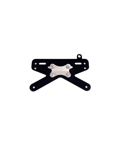 Universal US license plate holder with plate light mount for bare rear fender