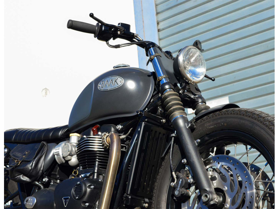 Kühlergitter-Schutz für Triumph (2016-...) T120 - T100 - Speed Twin 900