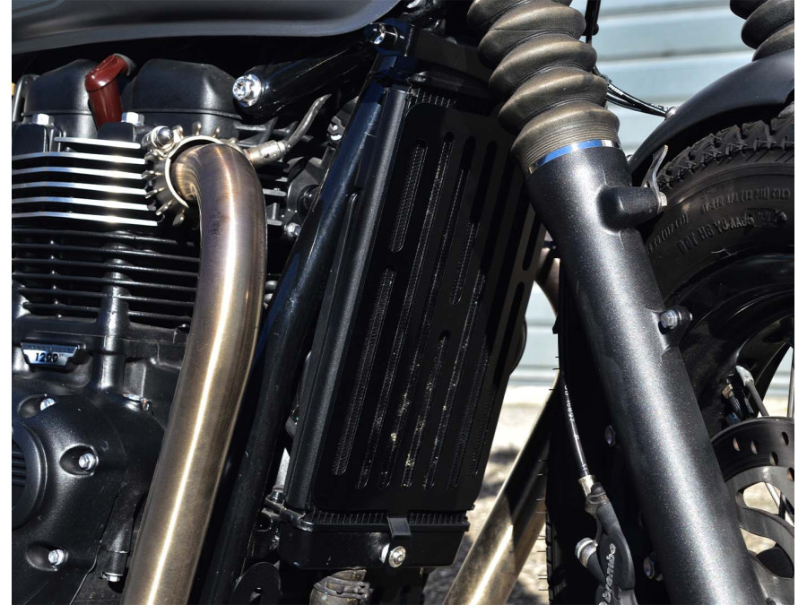 Triumph(2016-...) T120 - T100 - Speed Twin 900용 라디에이터 보호 그릴