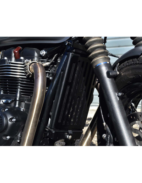 Grille de protection radiateur pour Triumph (2016-...) T120 - T100 - Speed Twin 900