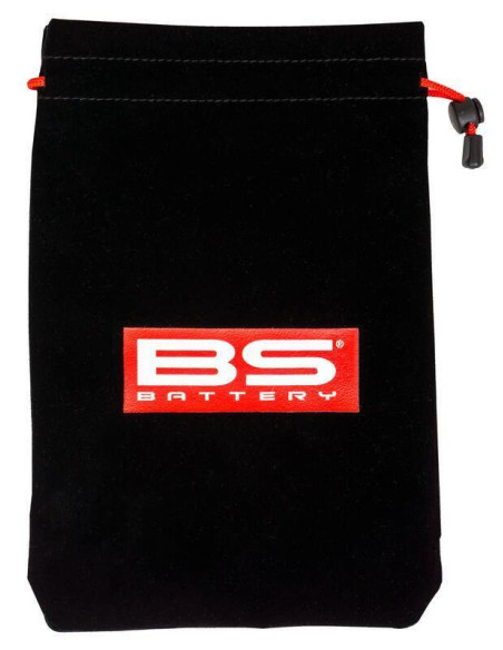 Intelligentes Batterieladegerät mit Erhaltungsfunktion - BS BATTERY BS 15