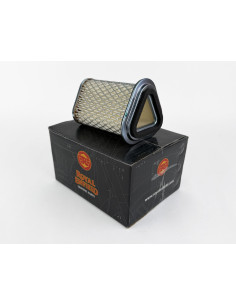 Filtro de aire original para Royal Enfield 650
