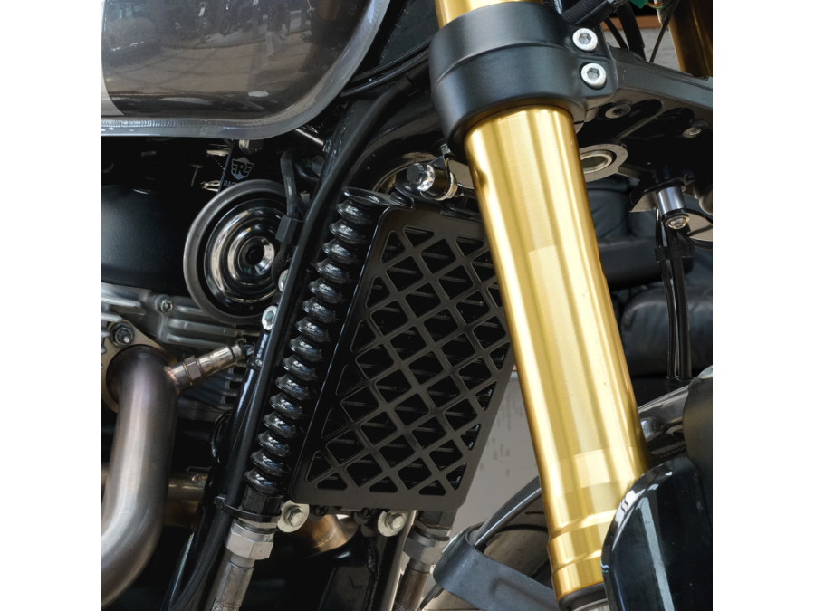 Kühler-Schutzgitter – Royal Enfield Bear 650