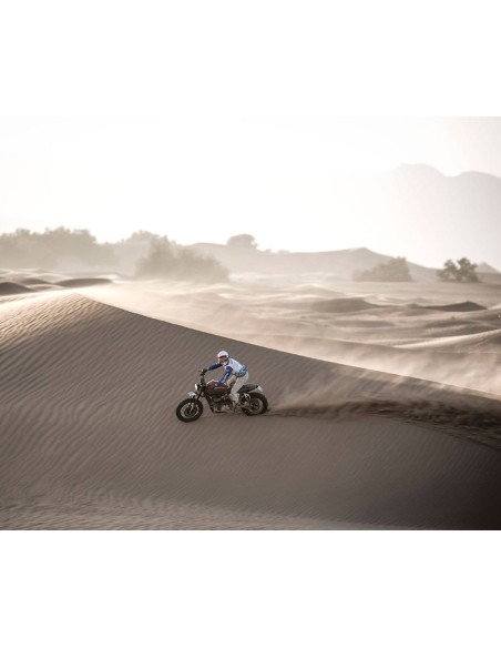 Triumph Scrambler 865