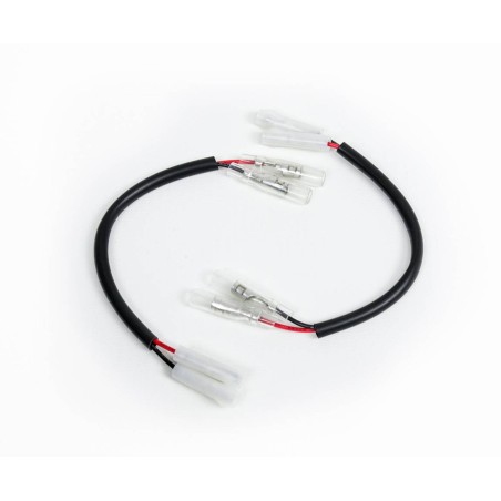 Flash Beam for Triumph (2016 -...)