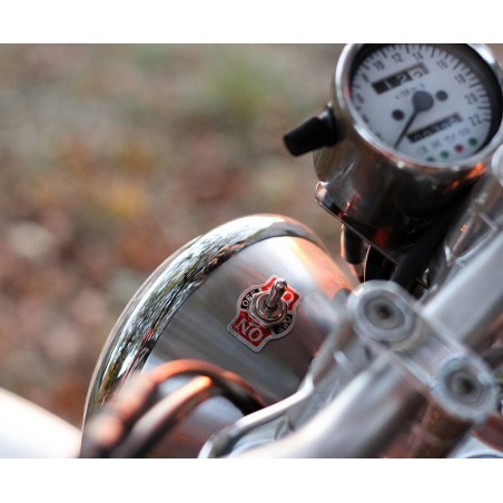 Royal Enfield Trial 1960 Ltd