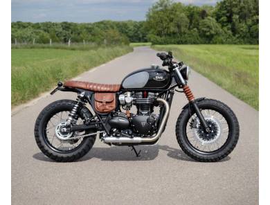 Triumph Bonneville T100 /...