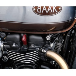 Kennzeichenhalter für Triumph (ab 2016) 2