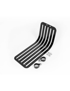 Zapato de motor para Triumph (AV. 2016)
