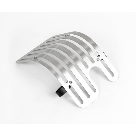 Engine protection for Triumph (2016-…) Protect Your Bike in Style!