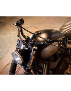 Fledermauskopf / integrierter Zähler für Triumph (Av. 2016) 2