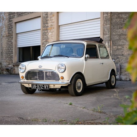 Austin Mini