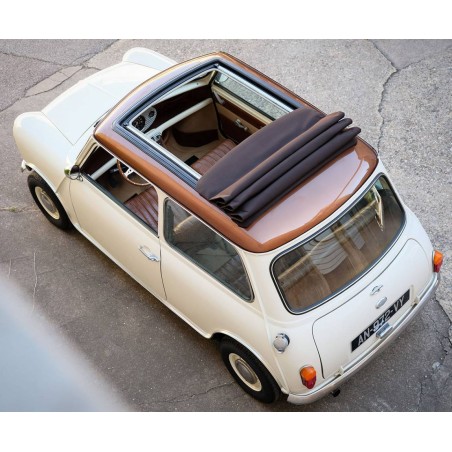 Austin Mini