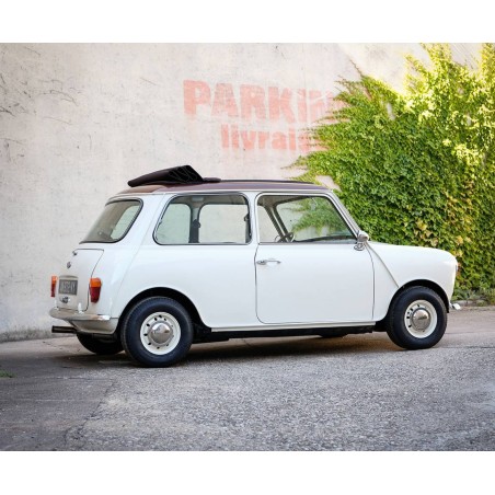 Austin Mini