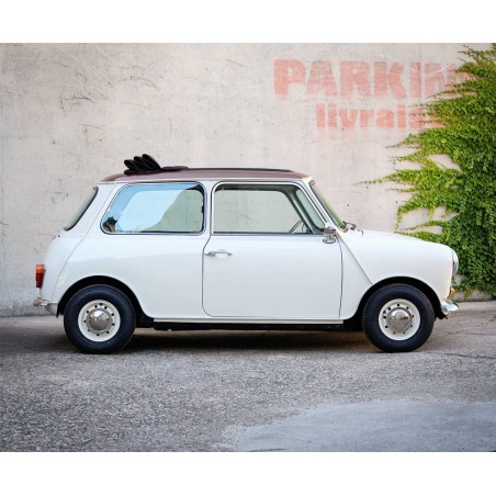 Austin Mini
