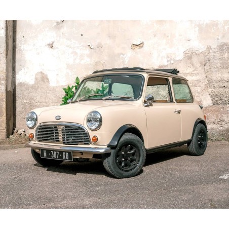 Austin Mini