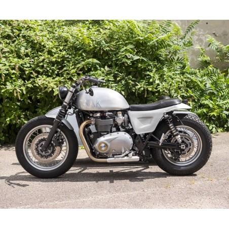 Triumph Bonneville T120 Alliance II side-car